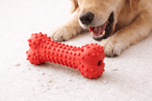 ChewJoy Durable Rubber Bone Toy